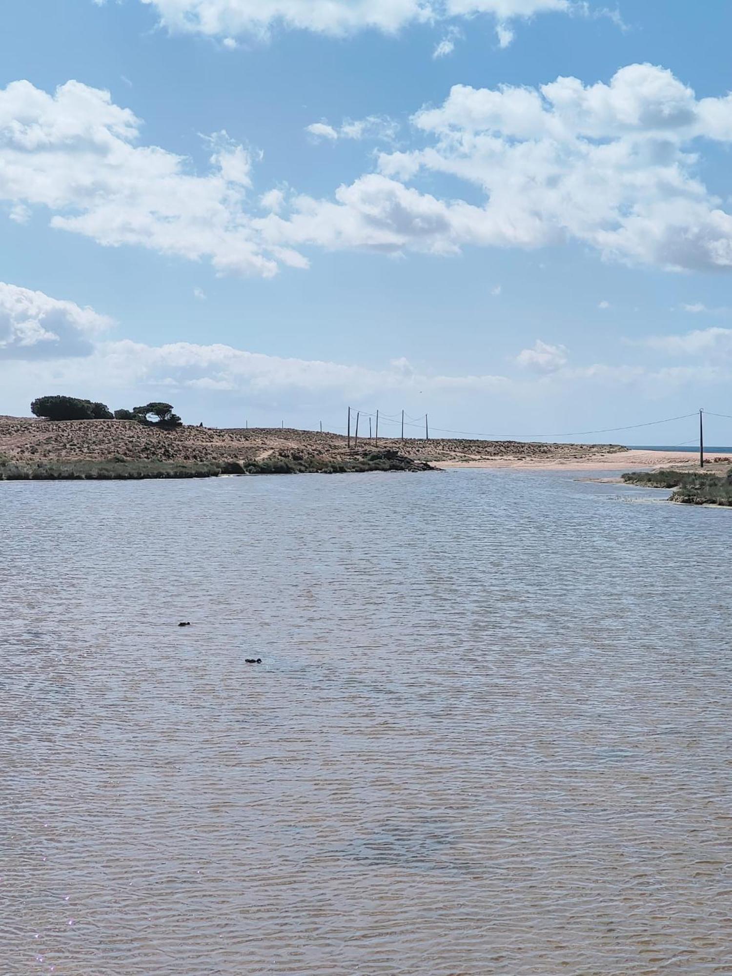 Armação de Pêra Bayline- Beachfront And Pool מראה חיצוני תמונה